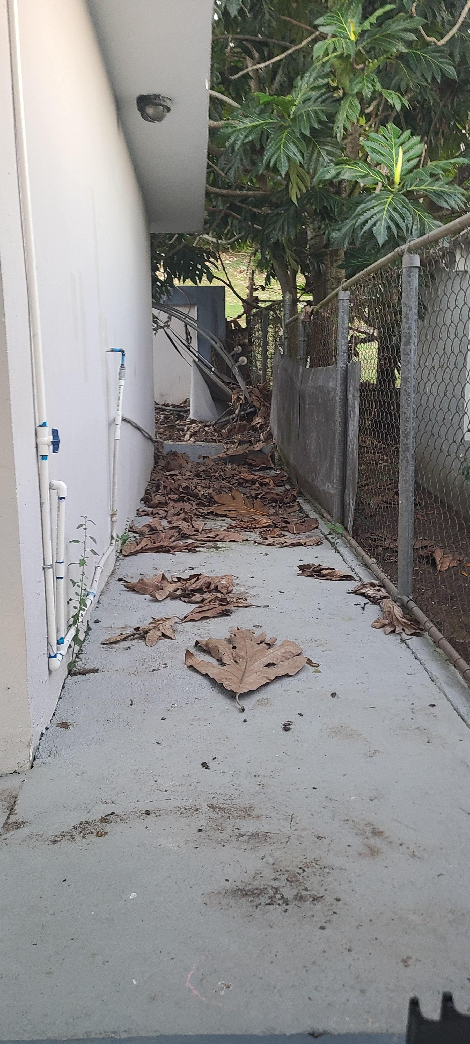 Unkempt  yard where we had to sit outside