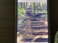 Tinker Cliffs - one set of steps. Over 157 total!!!