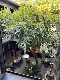 Courtyard restaurant view from room