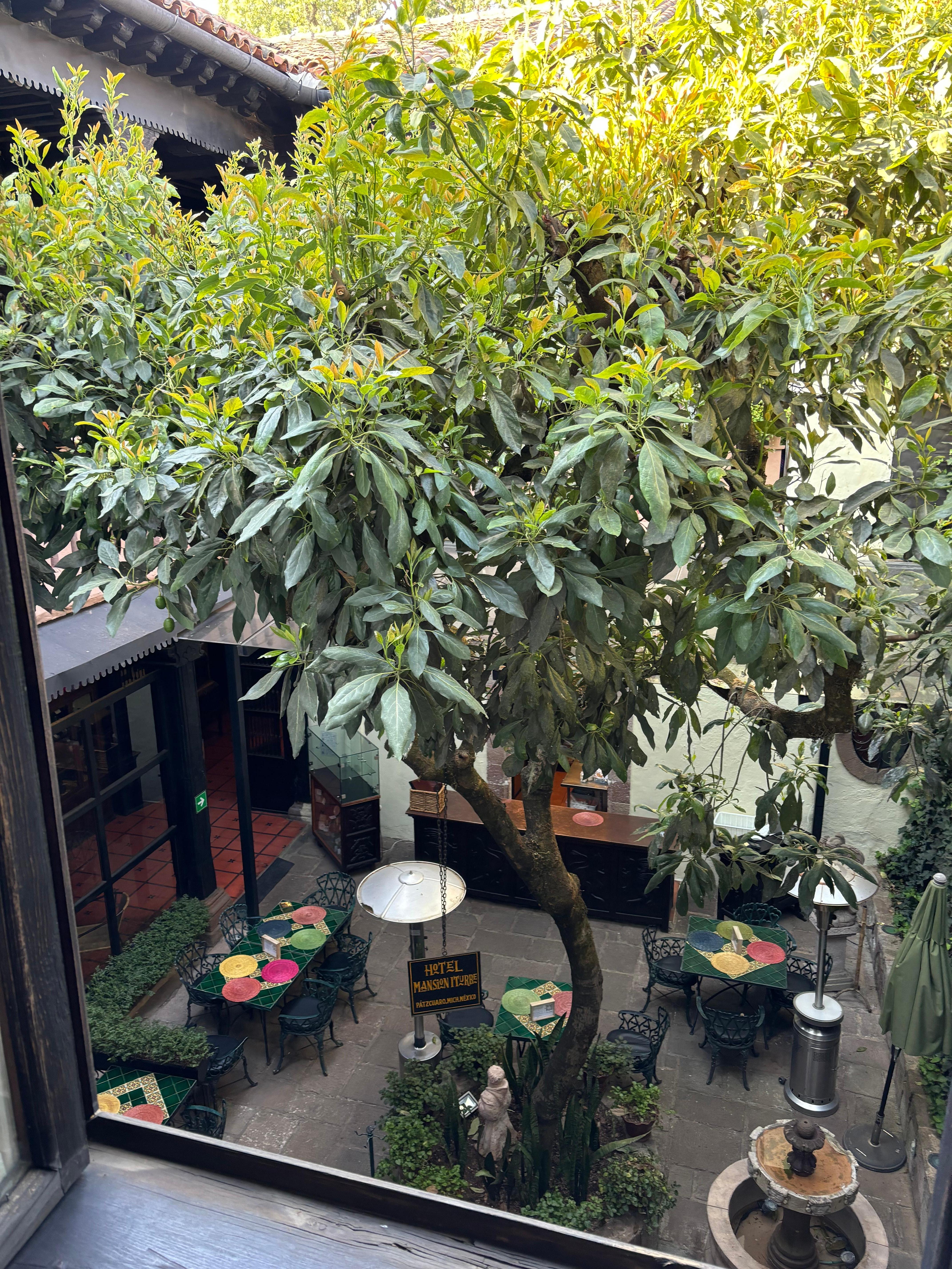 Courtyard restaurant view from room