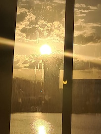 What appears to be dried saliva on the windows (Rm 220)