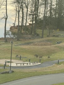 The view from our room