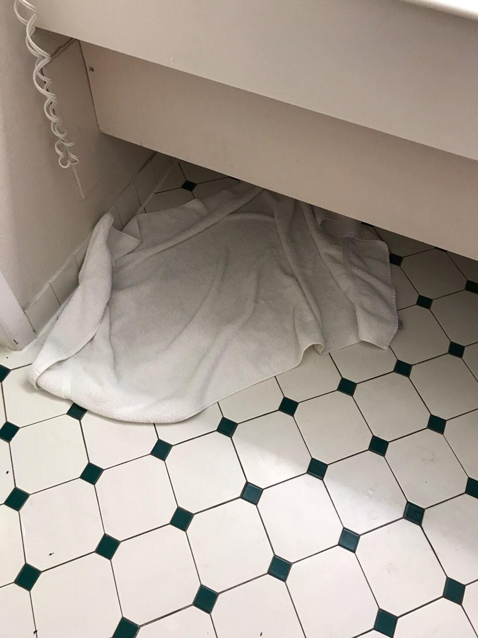 Leak in the room (had to use only towels available) - probably the reason for the mold smell)
