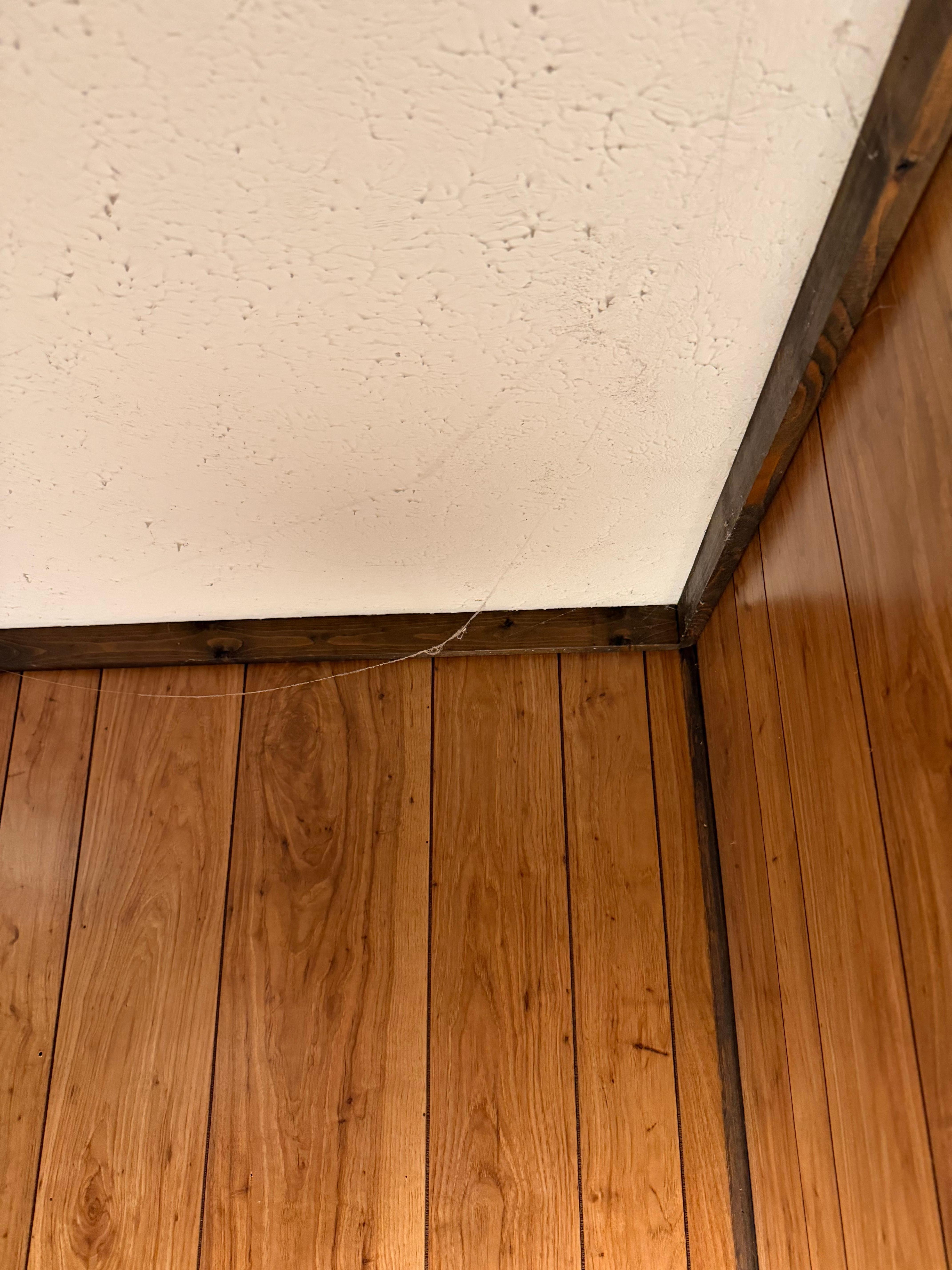 Just one of the cobweb corners