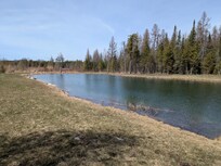 Pond