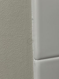 Pubic hair on the shower wall