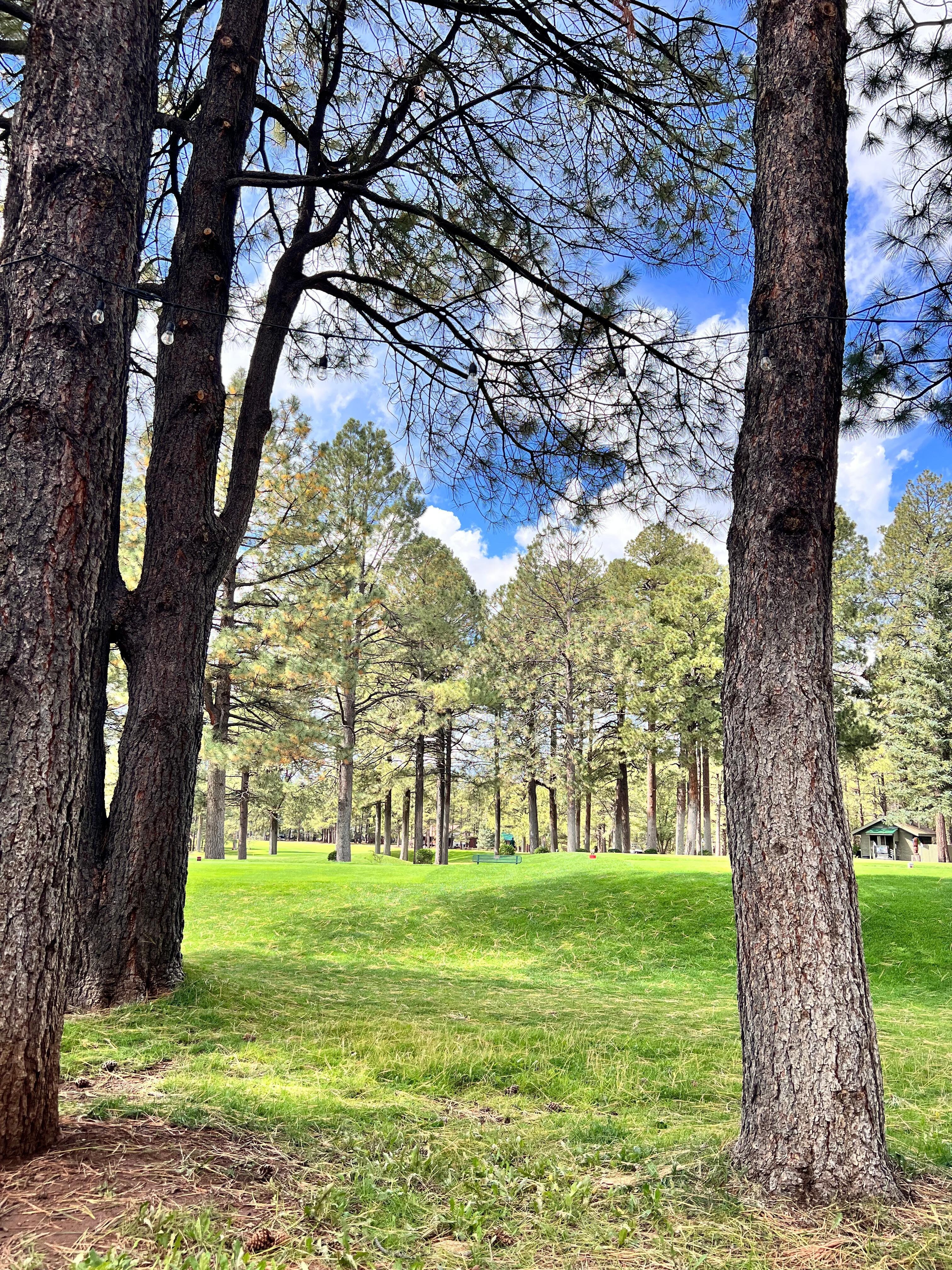 Golf course 1st hole to rear