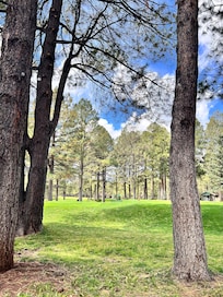 Golf course 1st hole to rear