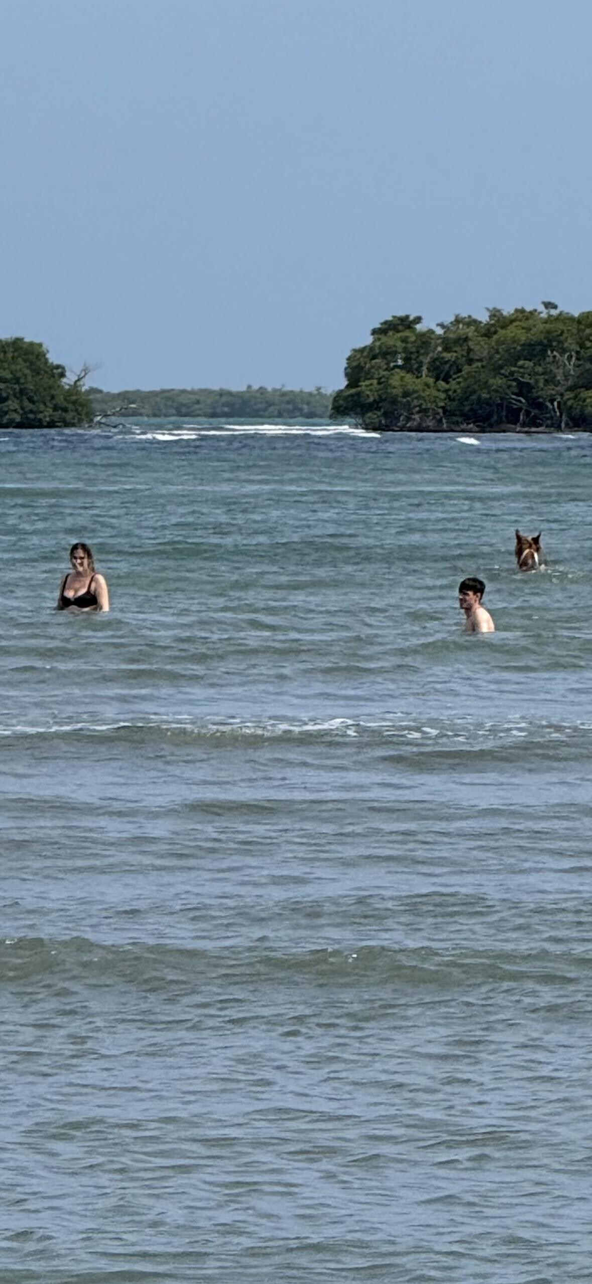 5 minutes down the road beach gorgeous! Swimming with horses
