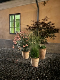 Många vackra blomarrangemang