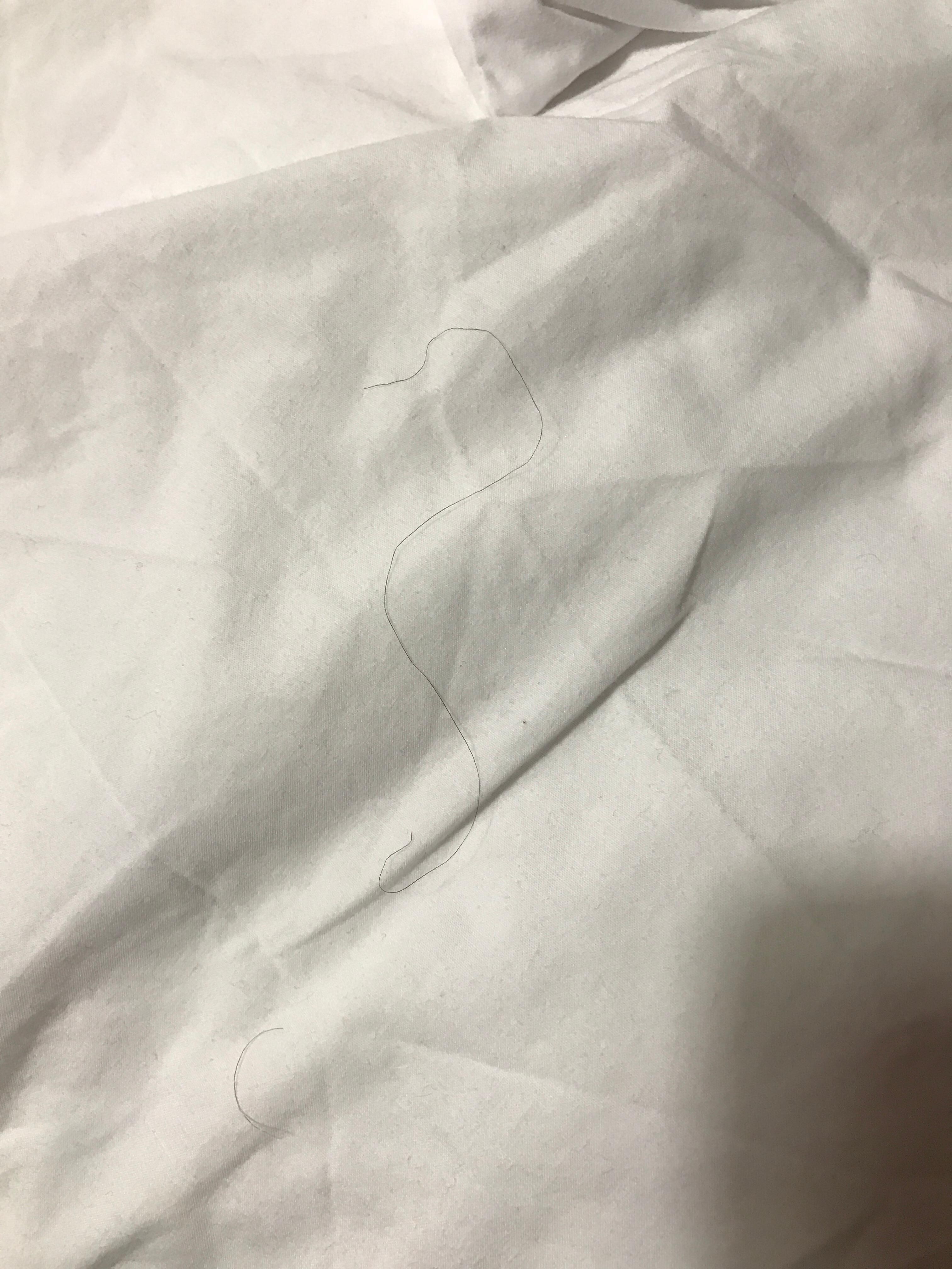 Pubic hair