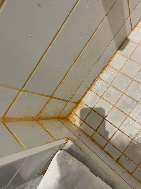 Shower stall hasn't been cleaned for years.