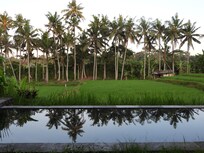 Zicht uit ons villa’tje