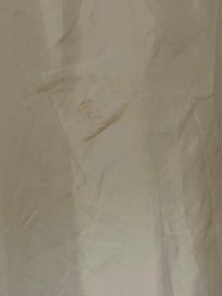 Dirty shower curtain