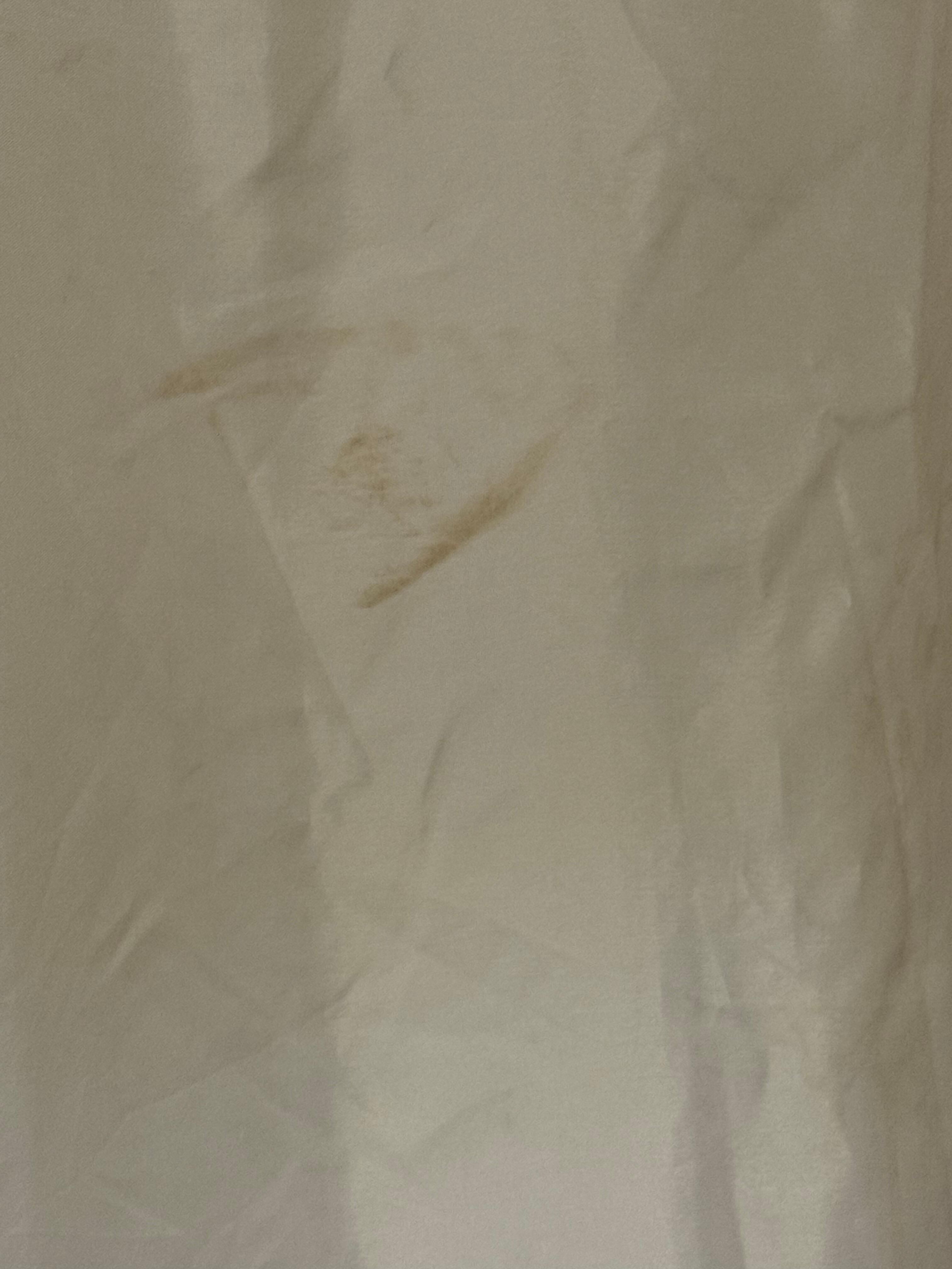 Dirty shower curtain 