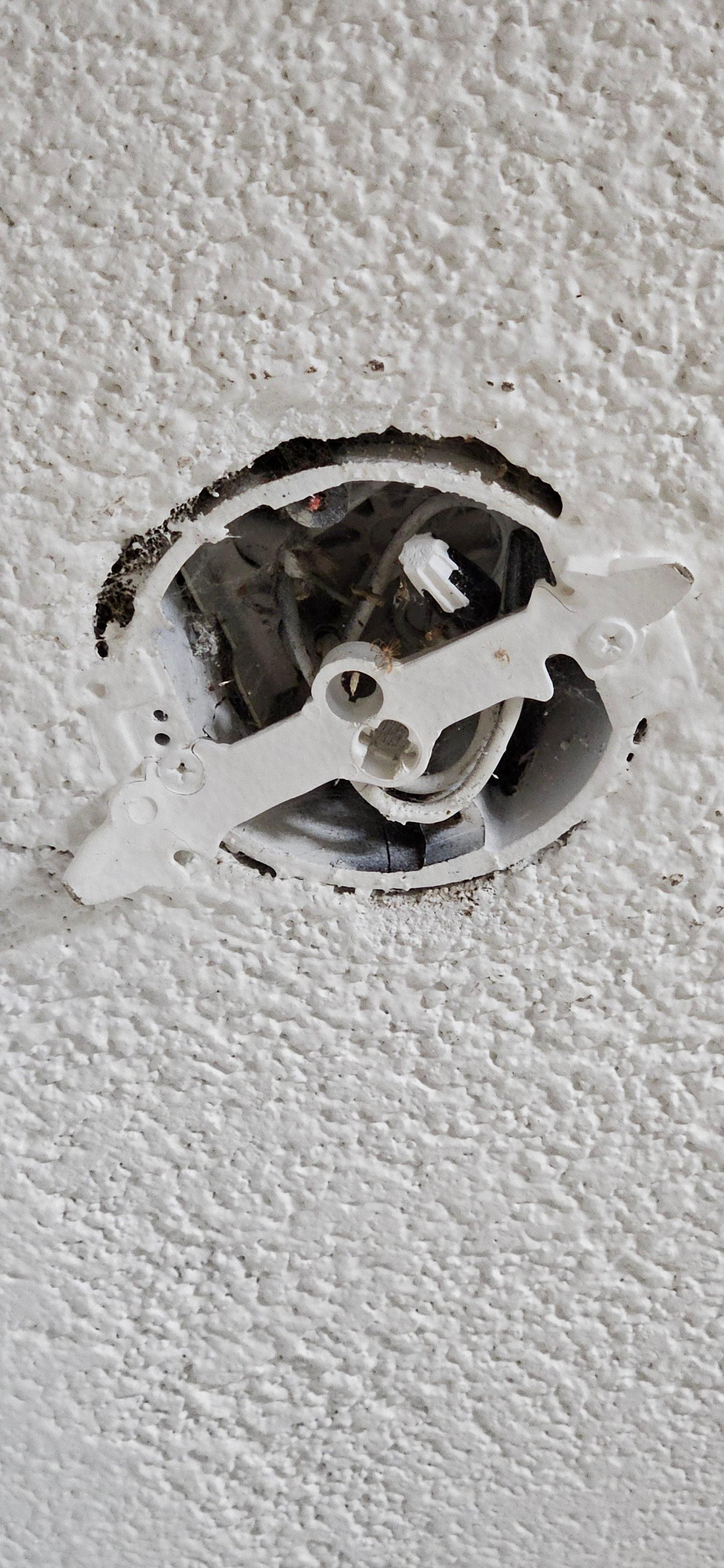  Open faced electrical box with exposed capped wires - close view.