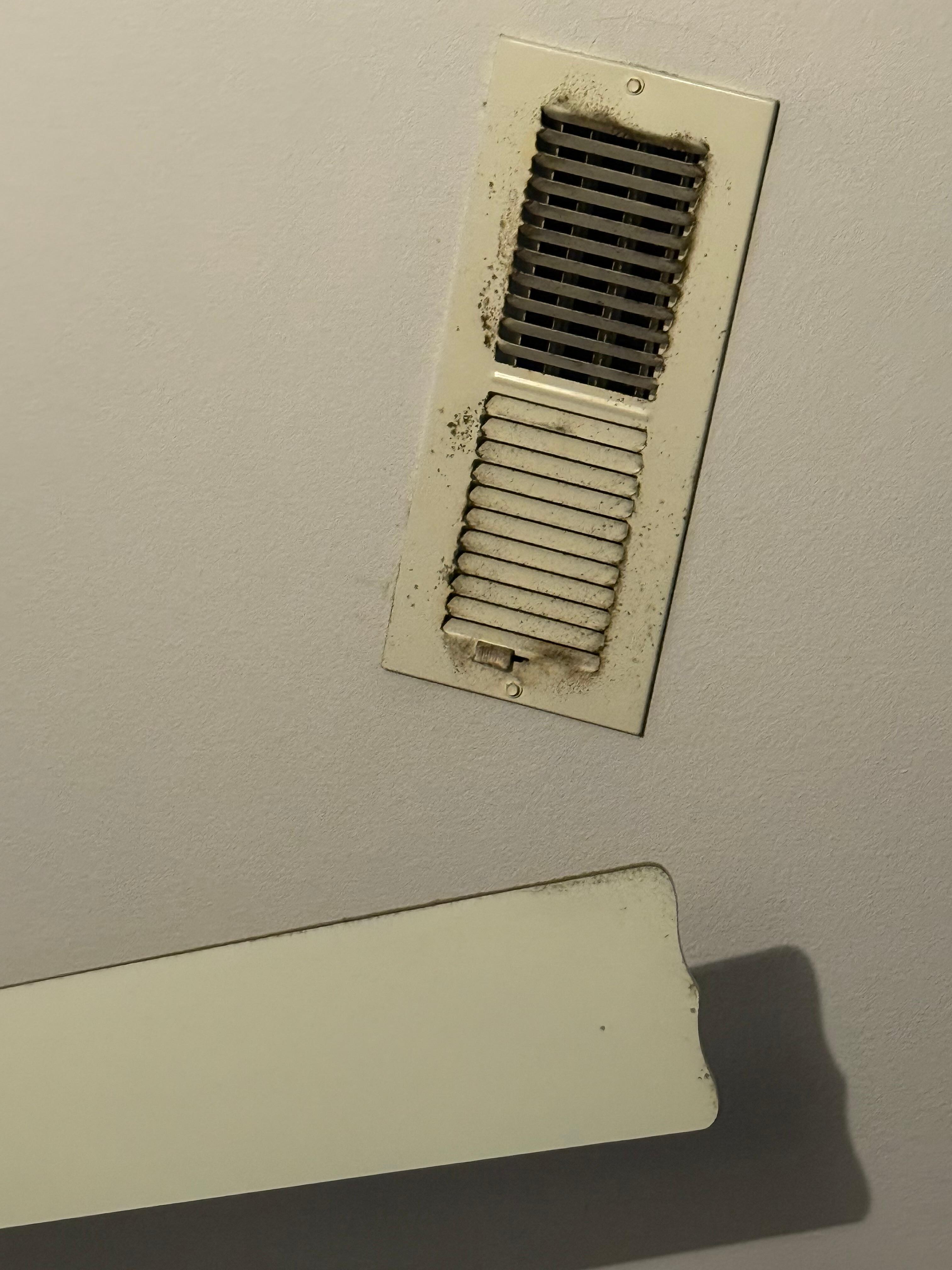One of the vents and fan blade.