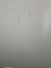 Blood stains on the wall in my room.
