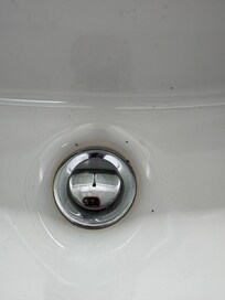Some bugs in bathroom sink after we had washed others down drain