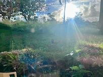 View from patio in the morning.