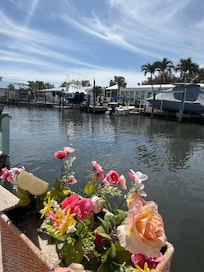 View from back patio.