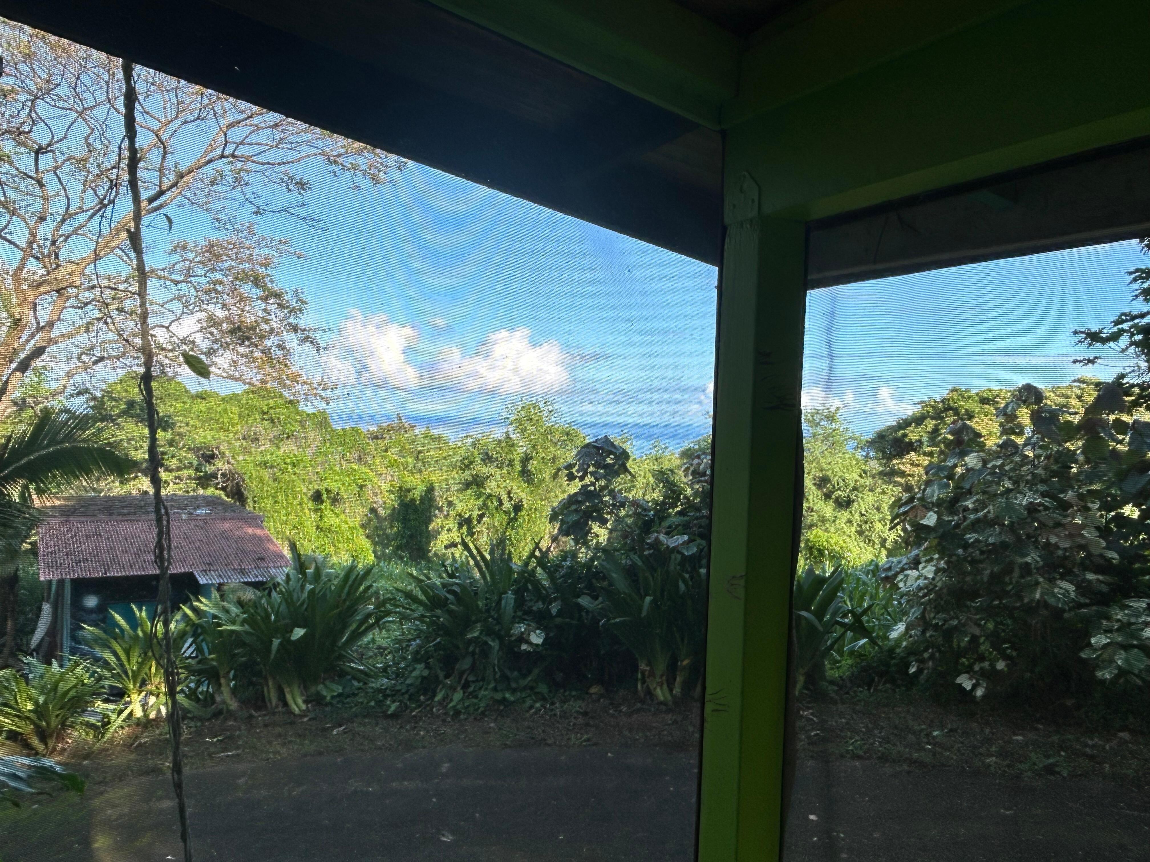 Vue depuis le patio