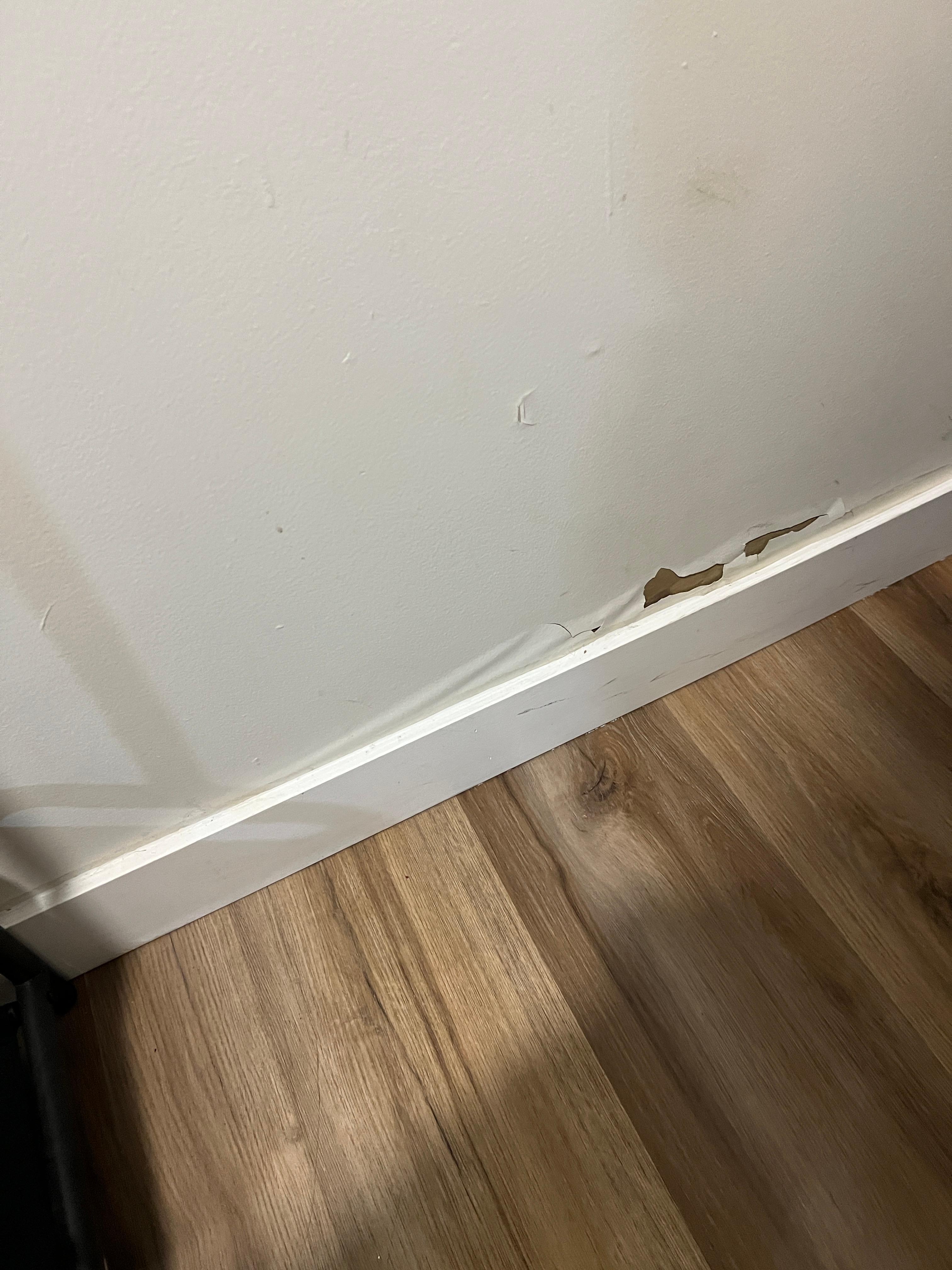 Bubbling peeling paint