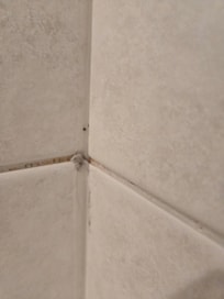 Moldy tiles