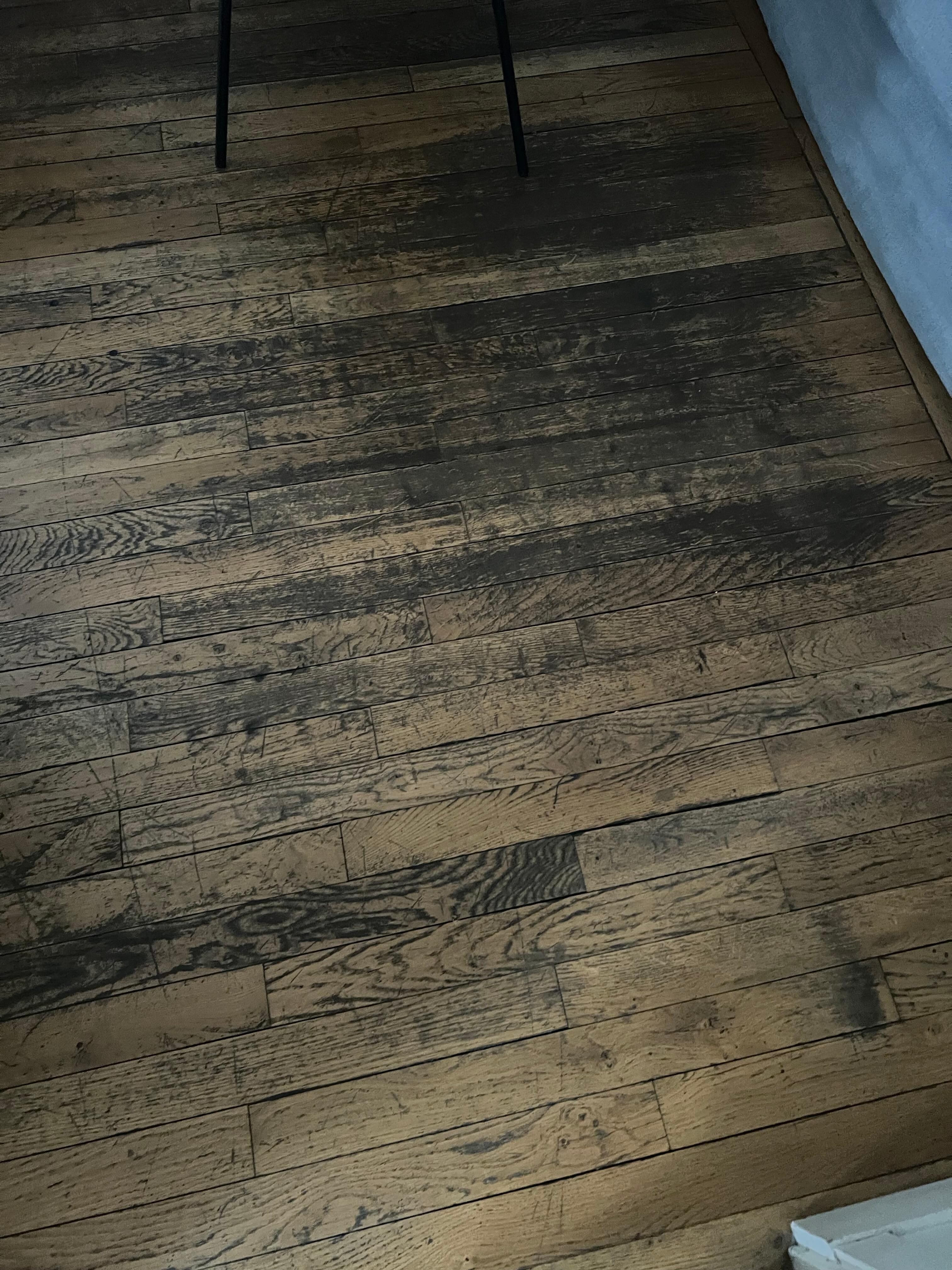 Ants and floor extremely dirty 