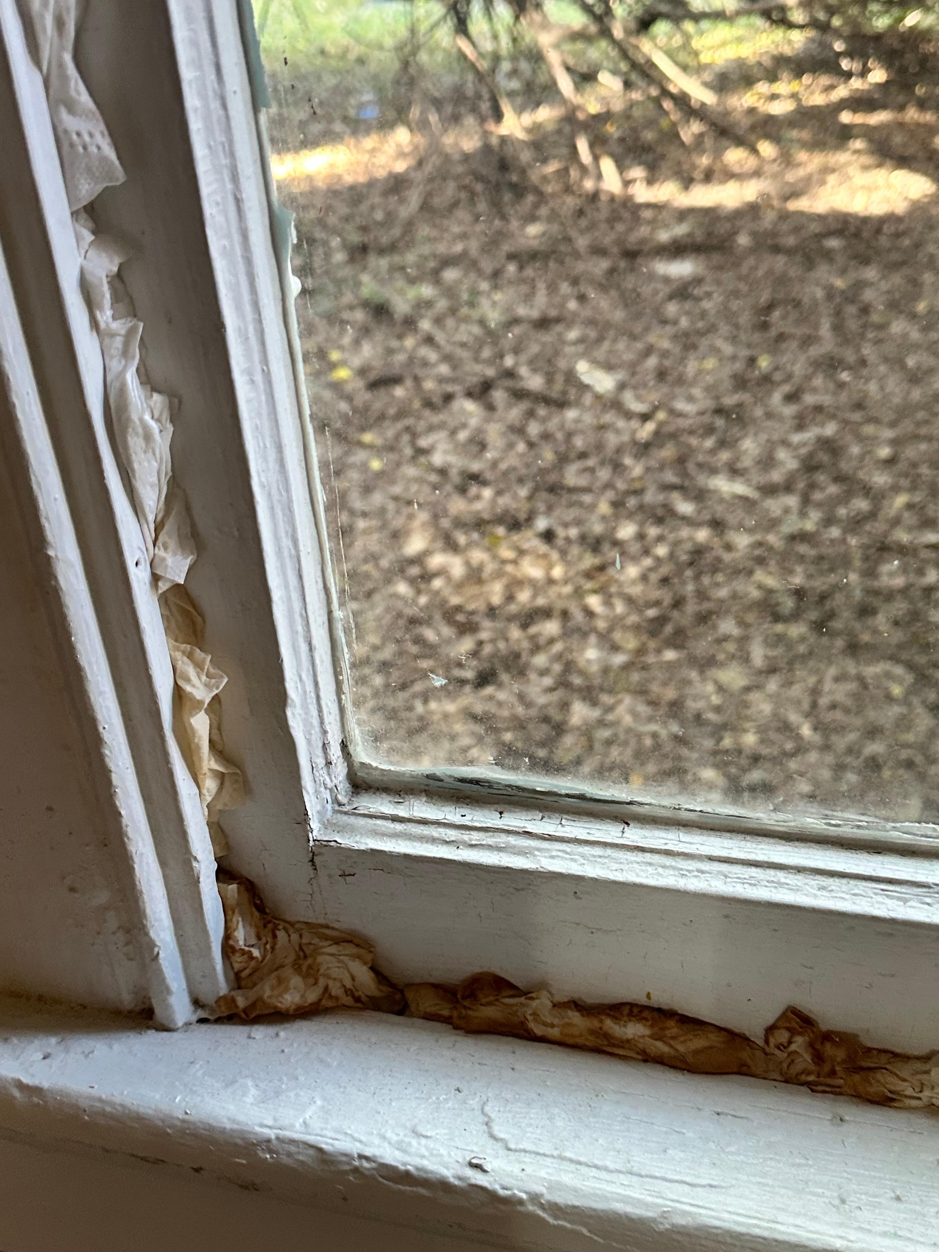 Window seals pouring cold air in and dirty toilet paper stuffed inside the holes 