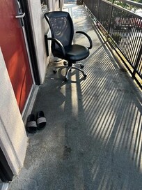 the morning remains of the neighbor