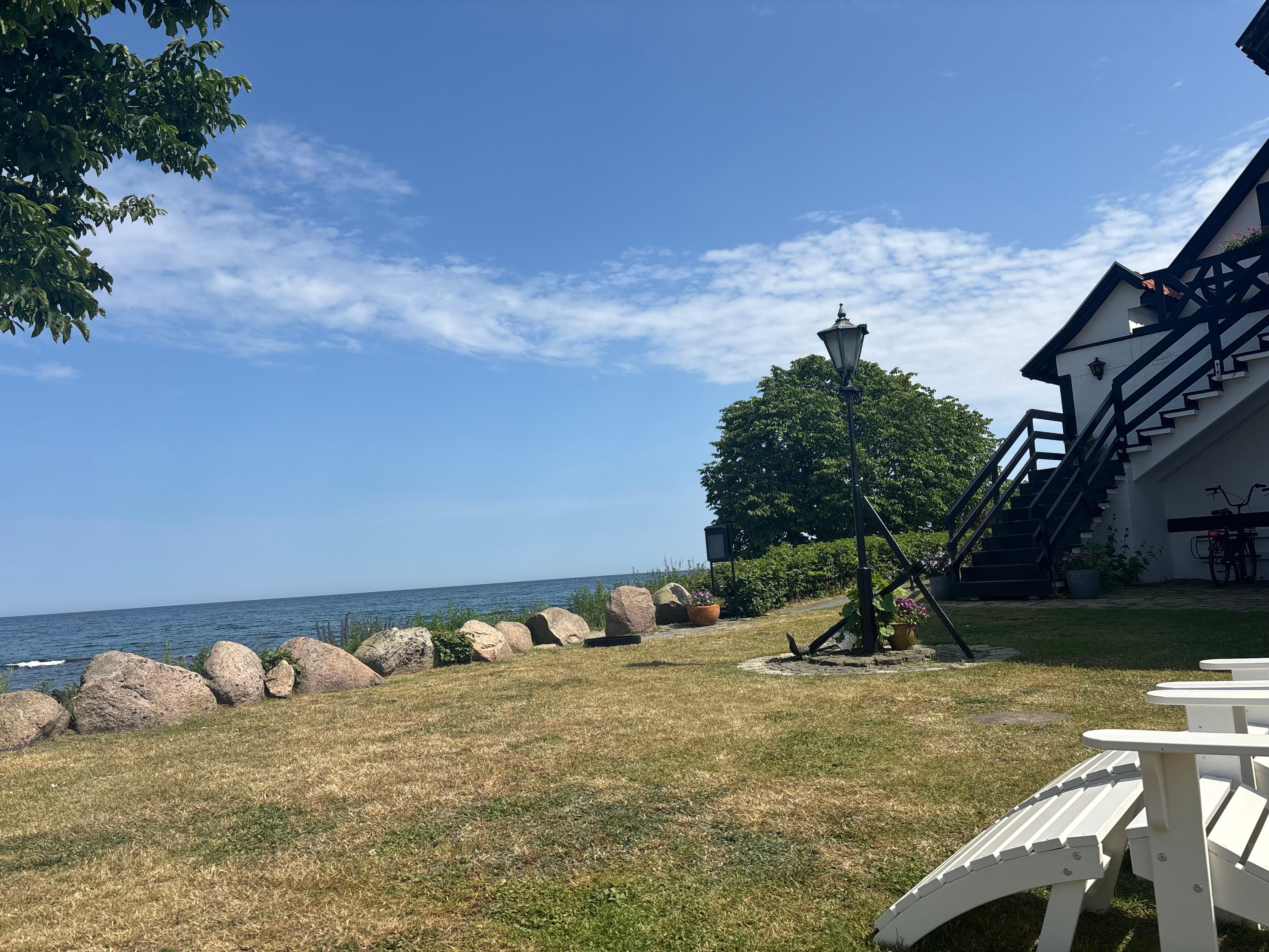 Udsigt fra haven 