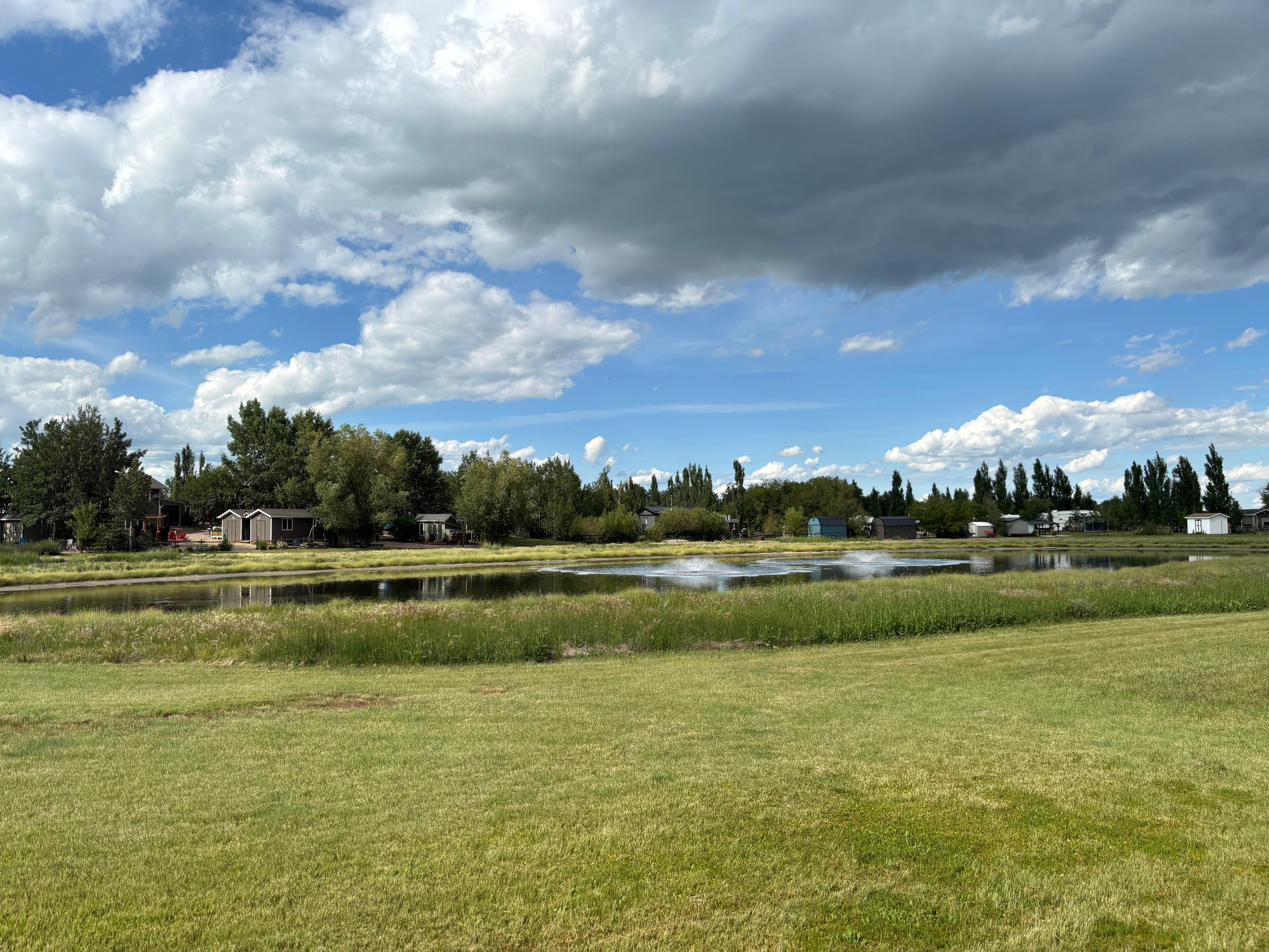 Pond