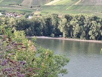 Ausblick Garten