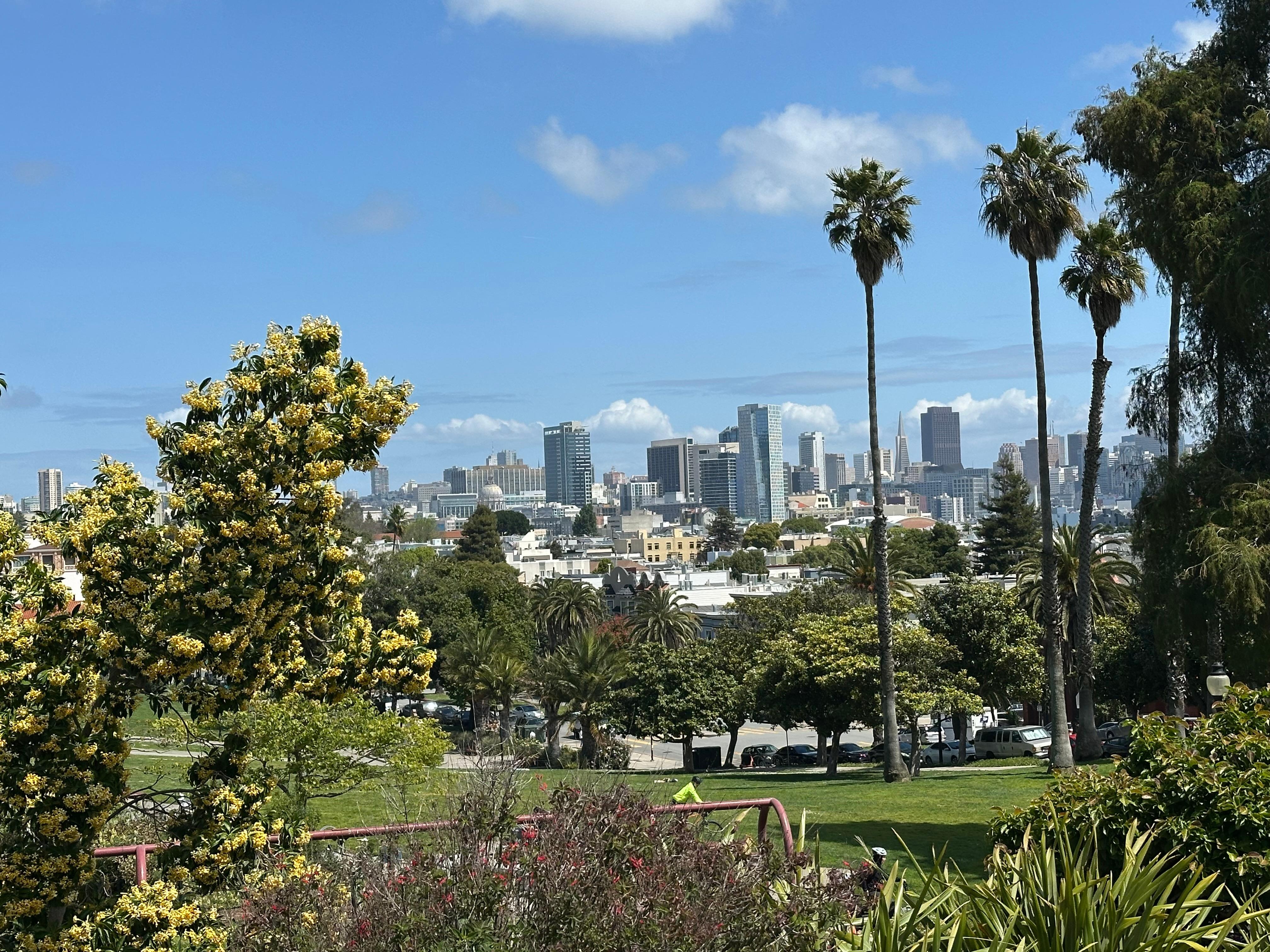 Dolores Park down the street is a stunner