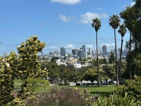 Dolores Park down the street is a stunner