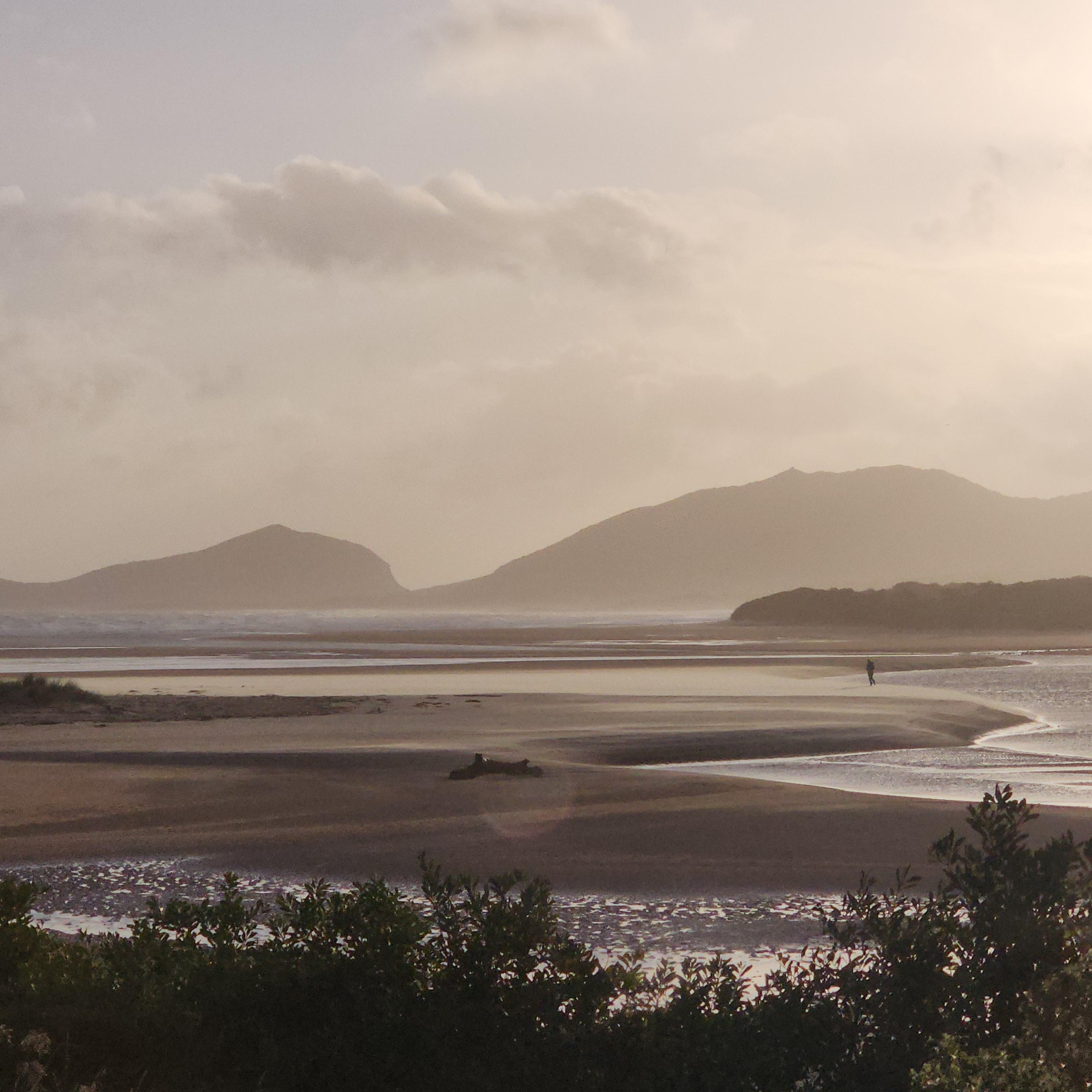 The view from the loungeroom 