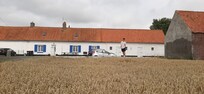It is the bit with the blue shutters in the middle
