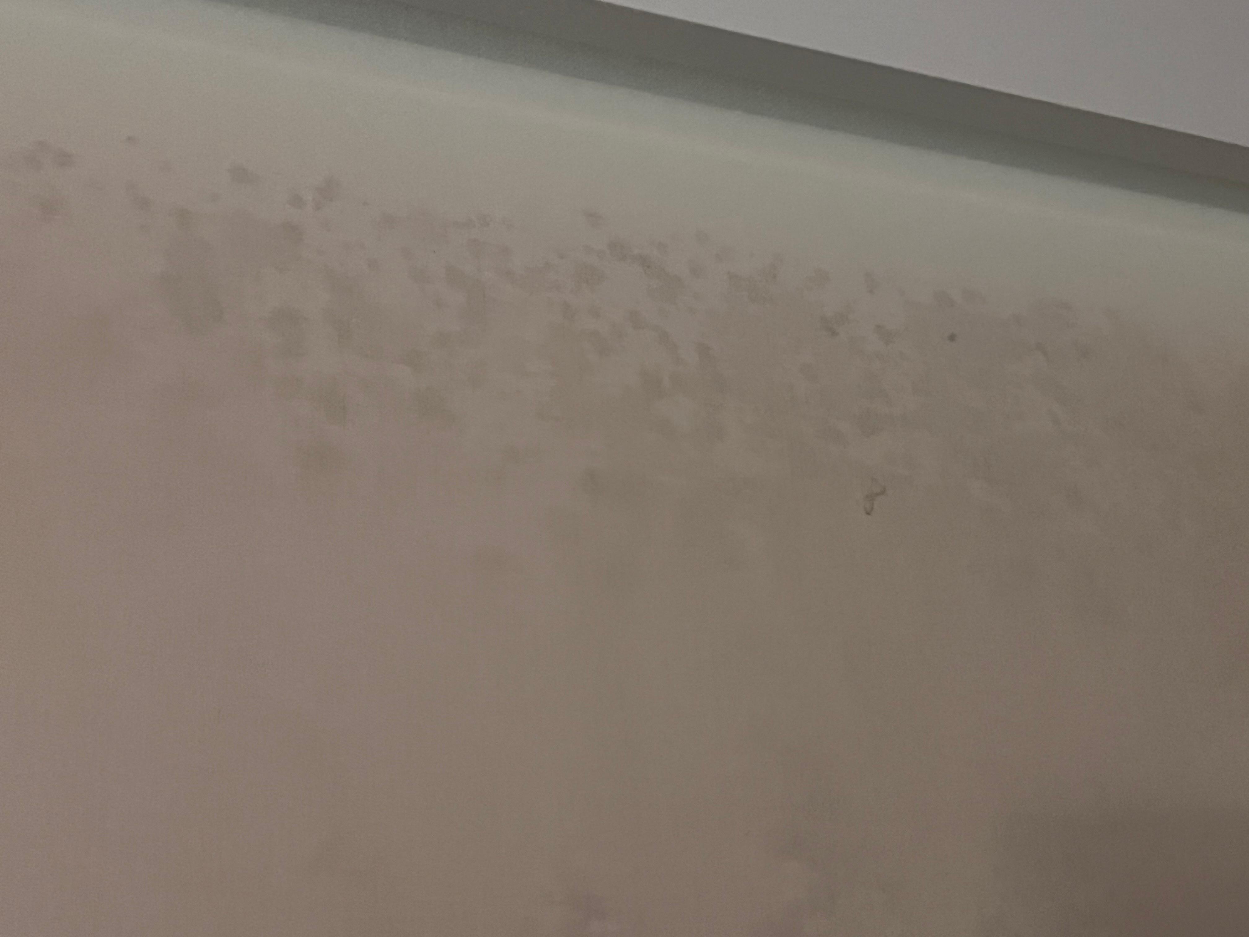 Curtain with moldy looking substance 