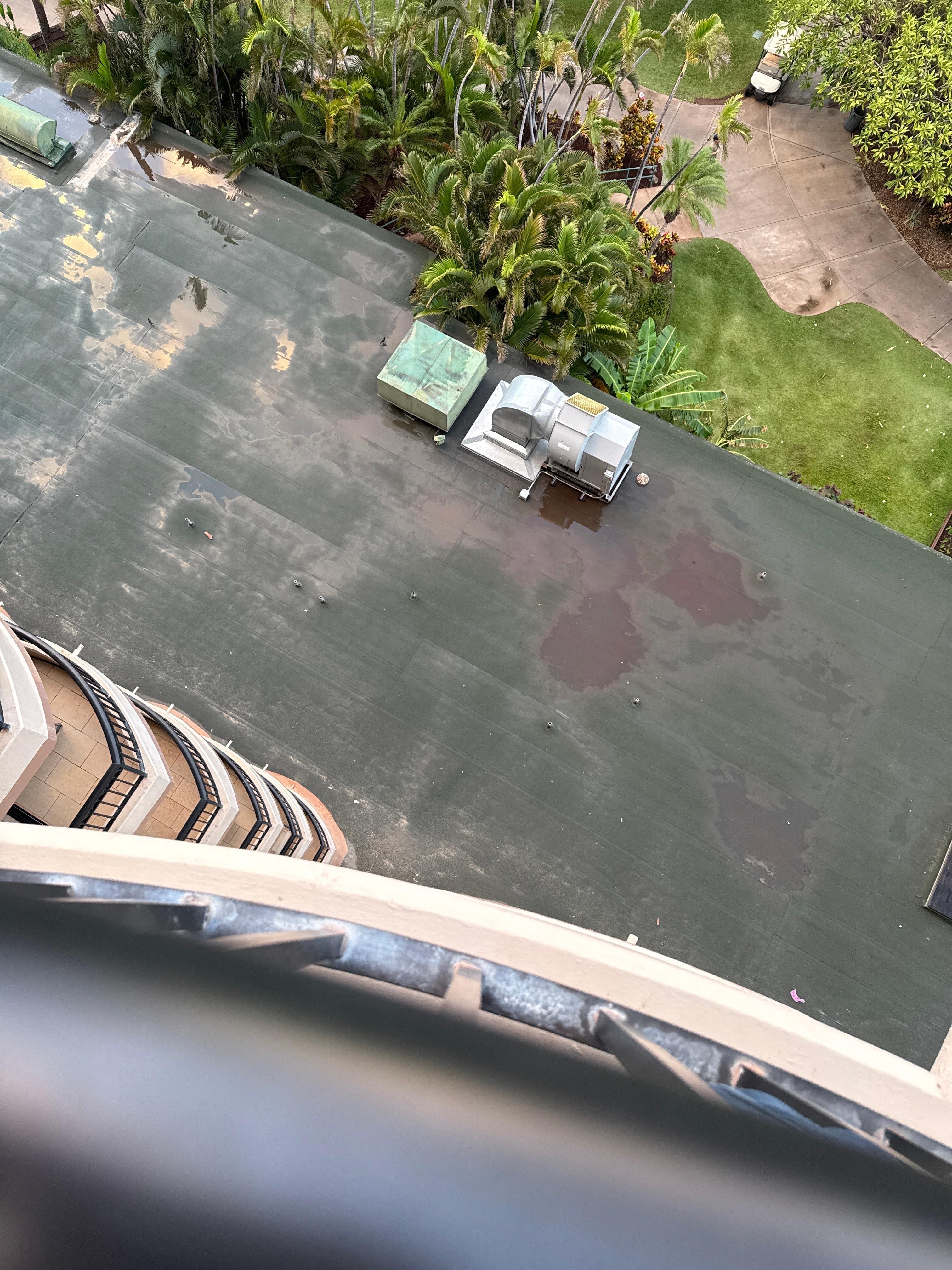 The ventilation system that is noisy and runs 24/7 projecting sound upwards. 