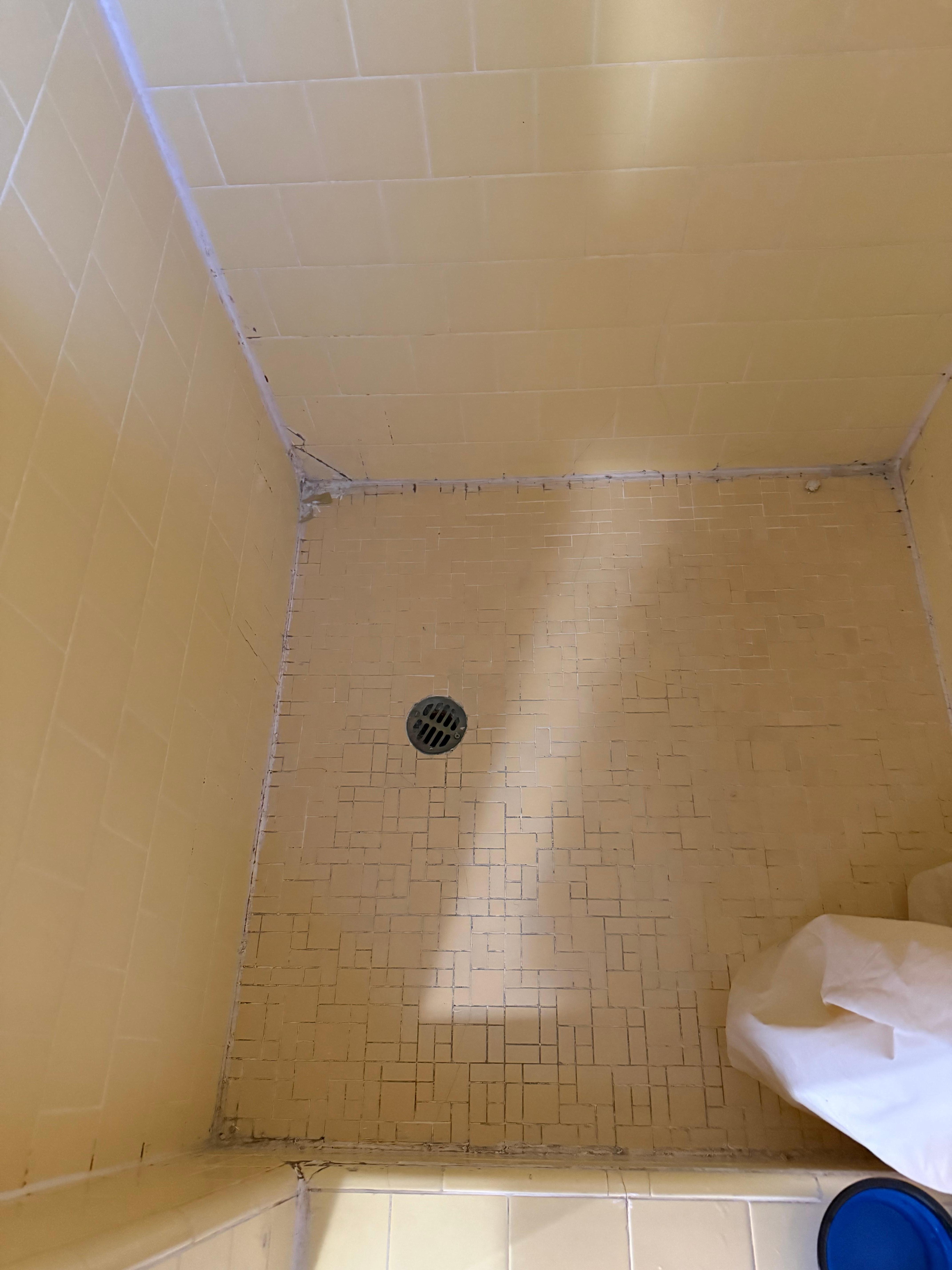 Shower with black mold