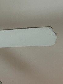 Ceiling fan