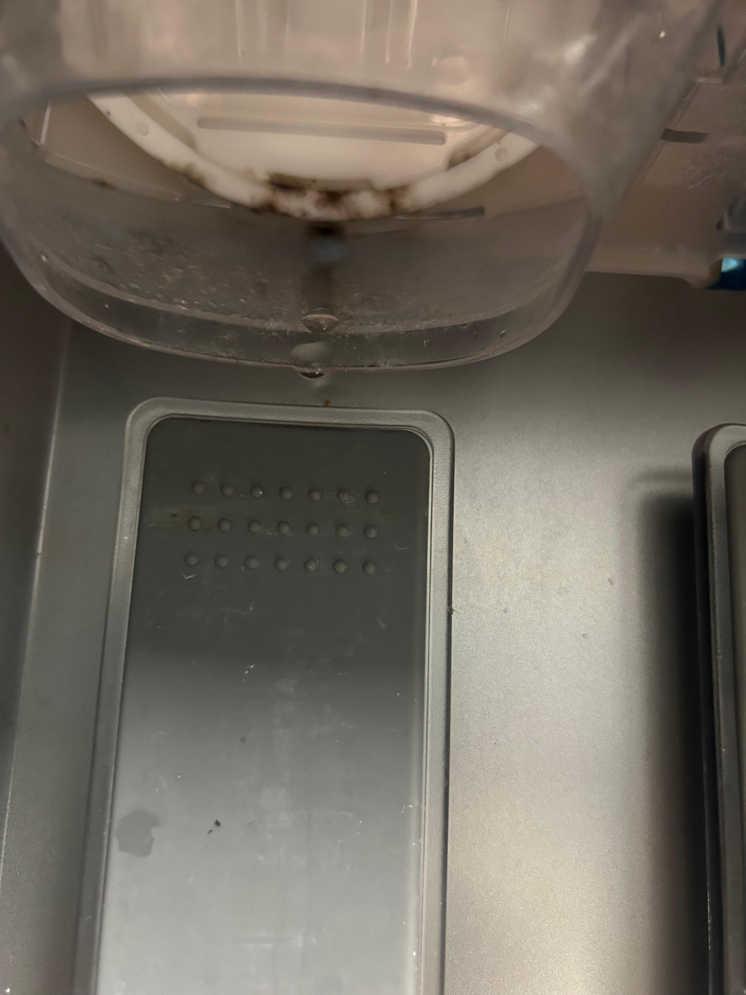 Ice maker w/ black mold coming out of the dispenser Gross!