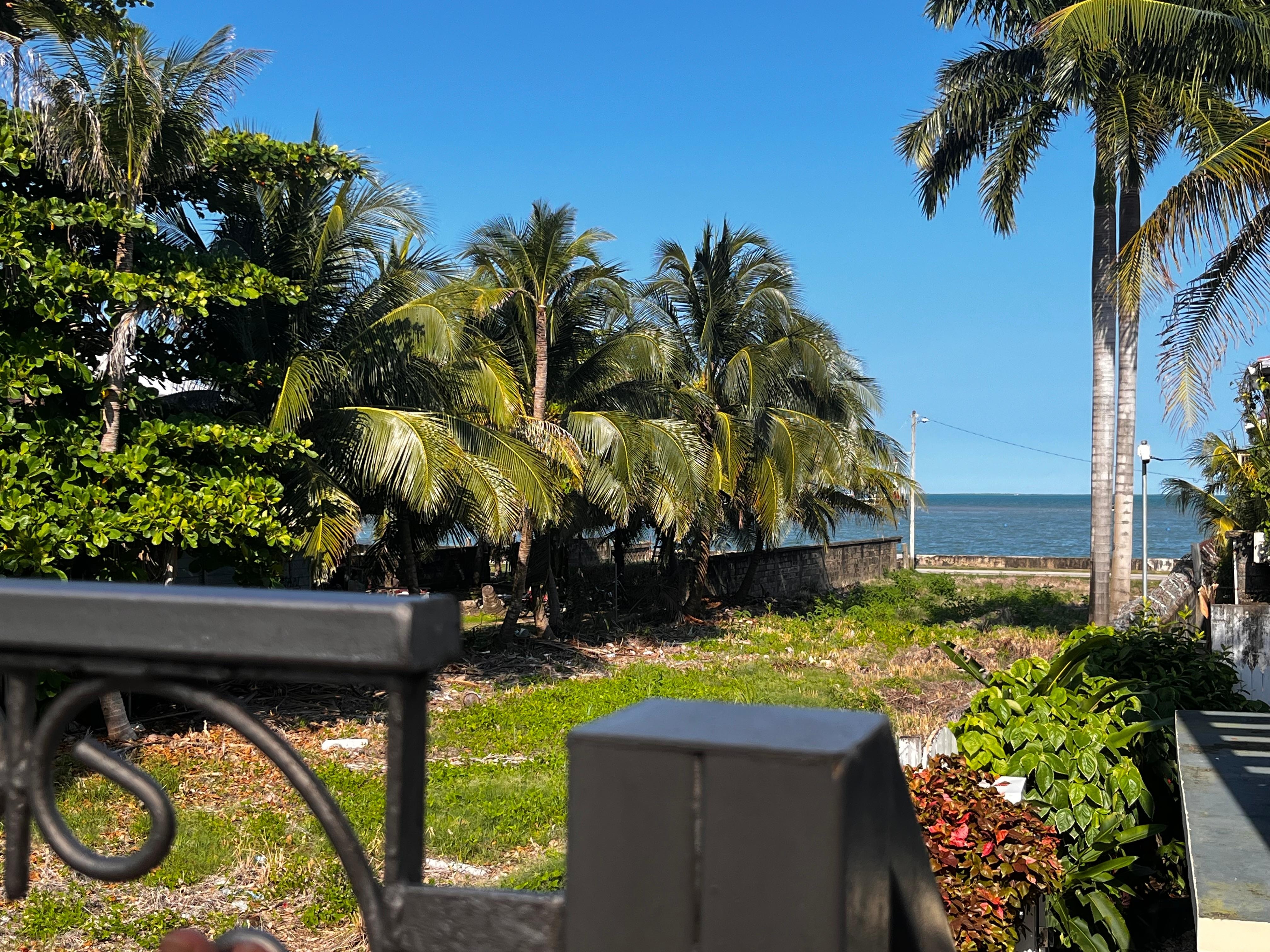 East facing Terrace view 