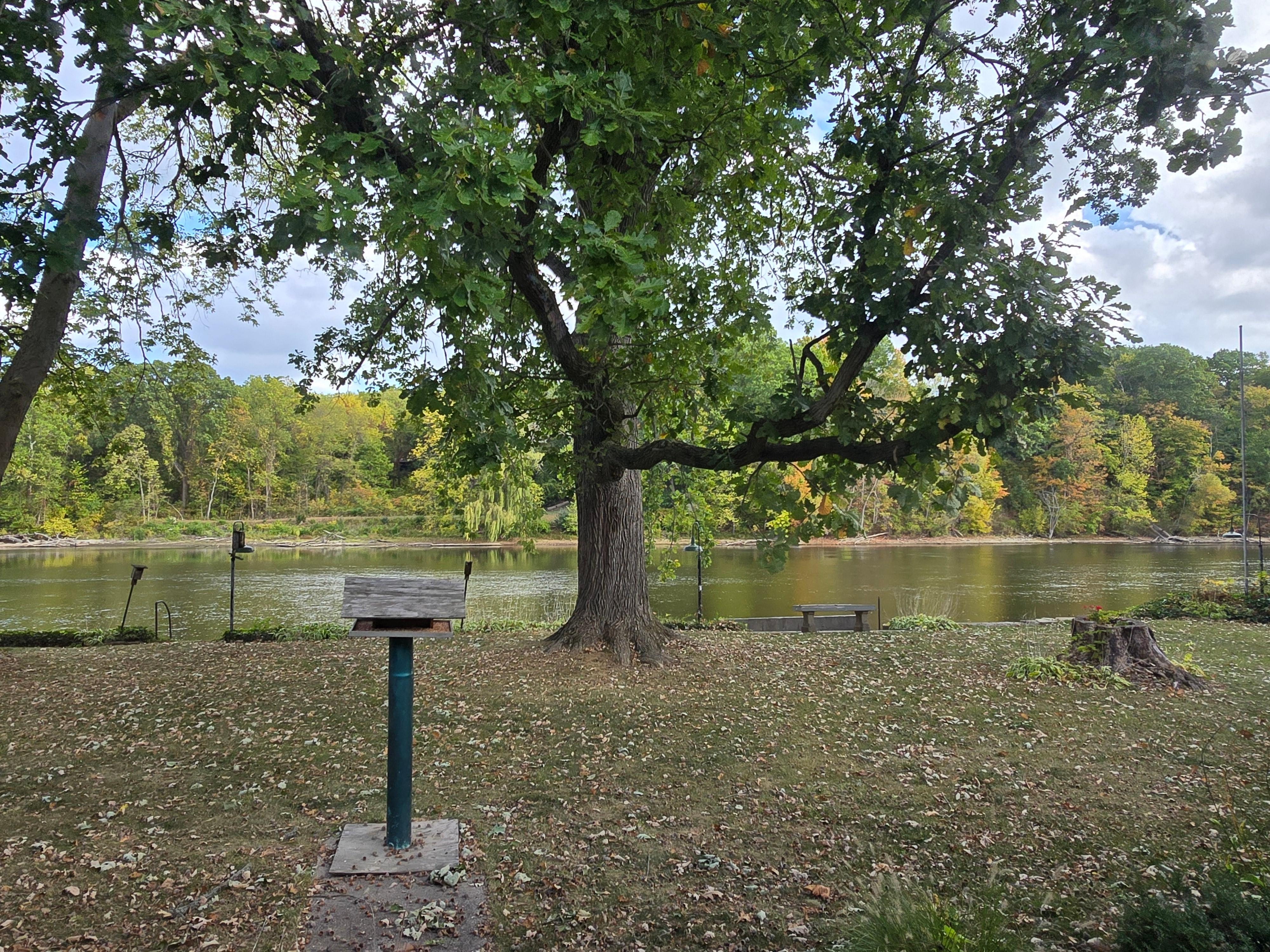 Morning coffee views