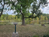 Morning coffee views