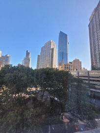 Window view