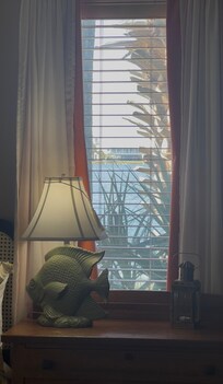 View from bedroom window