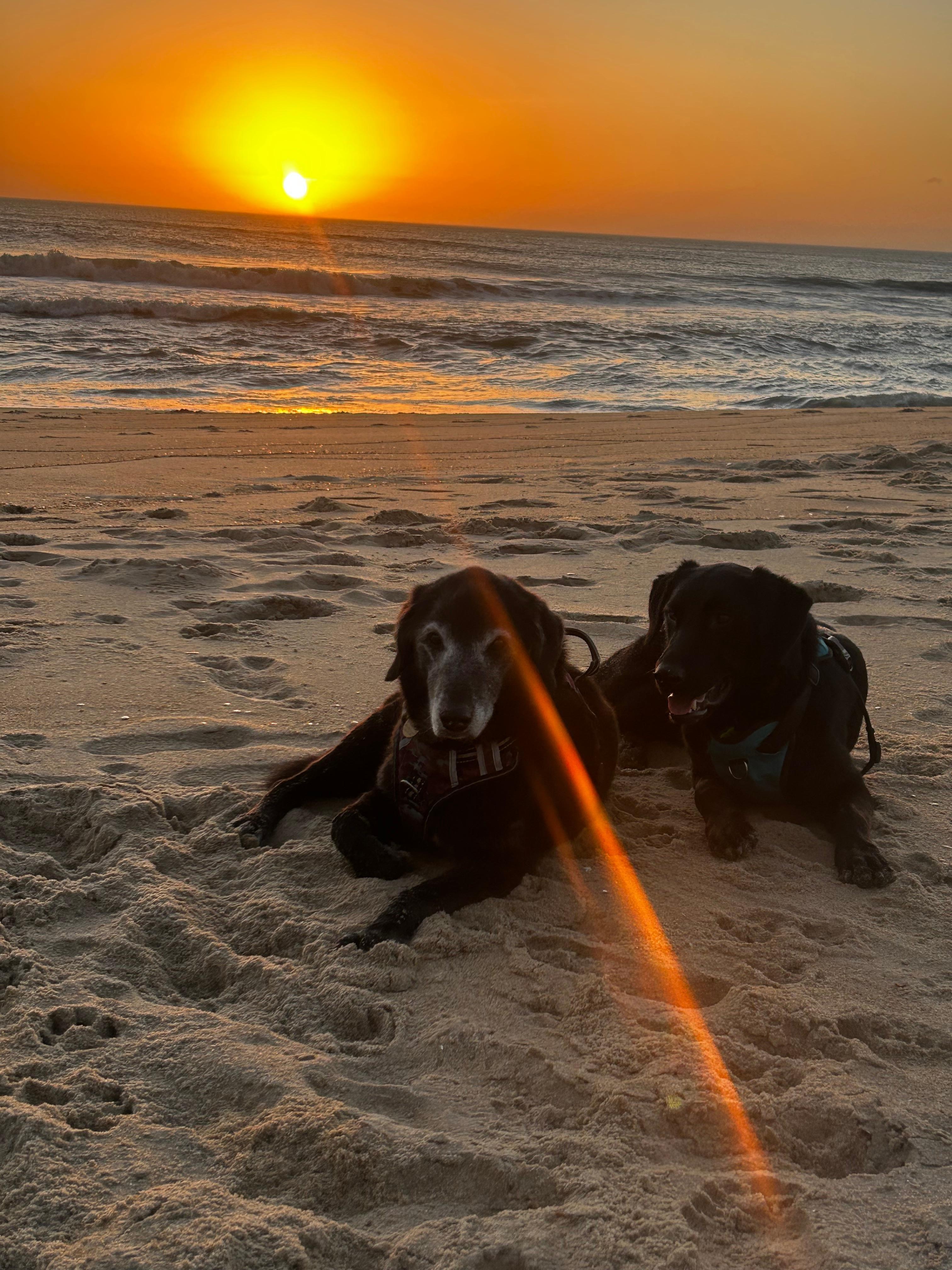 Girls at sunrise