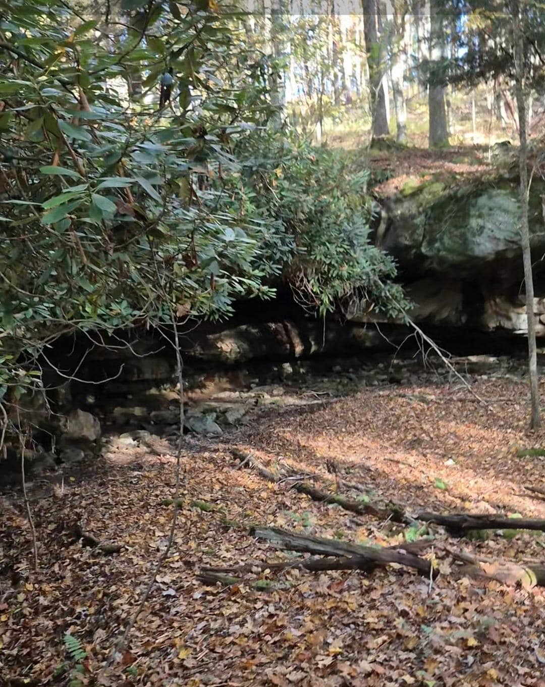 Rock overhang found while "exploring" the grounds
